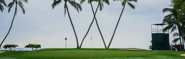 sony open tv times