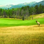 Jasper, Alberta golf