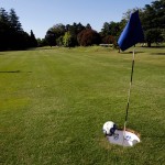 Footgolf