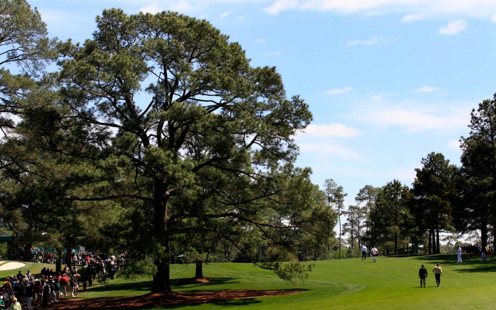 eisenhower-tree-augusta-national