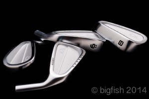 Big Fish Golf Singapore CB005 iron